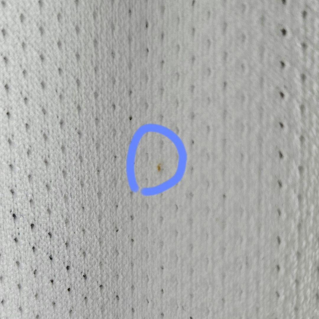 中日ドラゴンズ　和田一浩　サイン入り　ユニフォーム　ミズノ