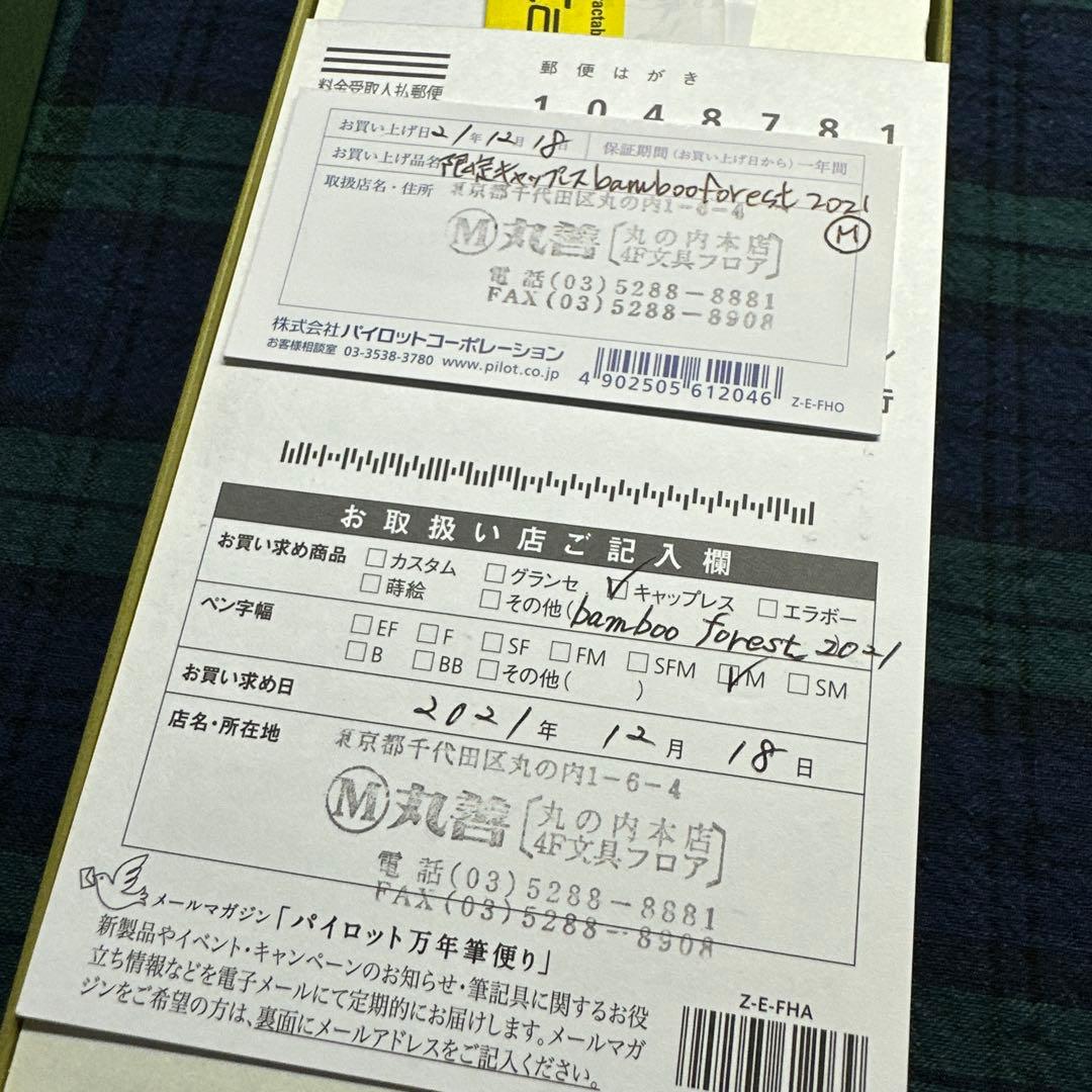 だ*く様 【新品未使用】限定品　パイロット　キャップレス万年筆　バンブーフォレス