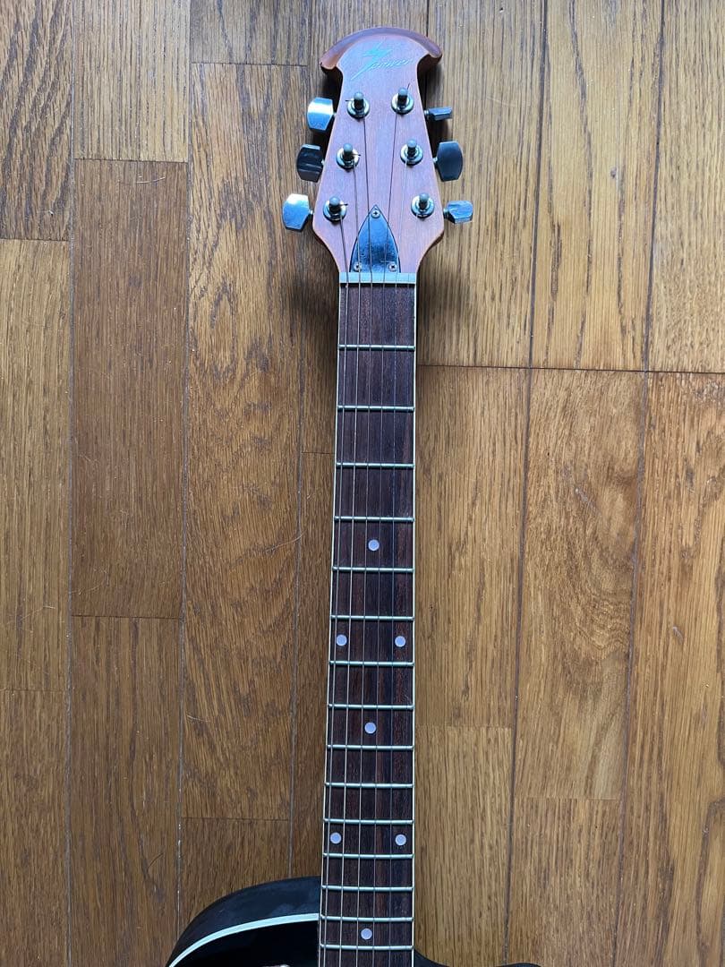 オベーションタイプのグラデーショングリーン虎目のアコースティックギター