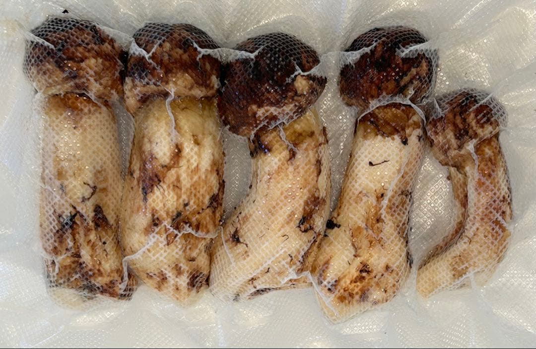 ☆信州産松茸☆ツボミの最高級冷凍松茸220グラム☆まつたけ☆国産松茸☆①☆