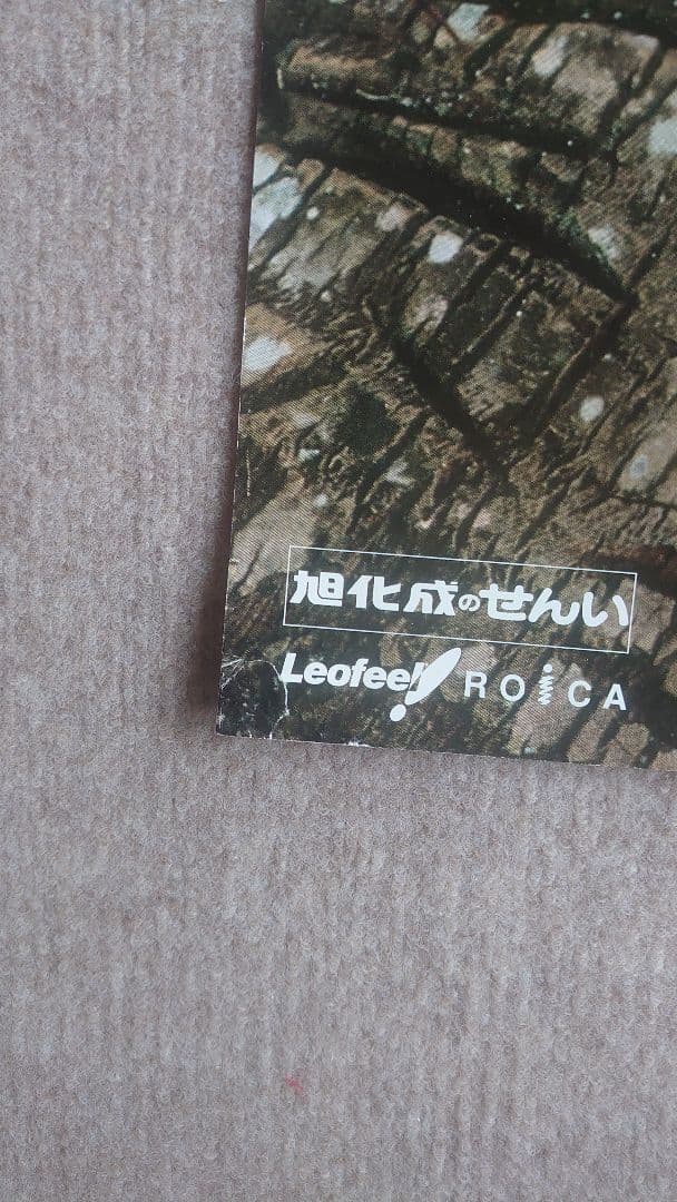 L*C様 松嶋菜々子 旭化成 特大水着ポスターサイズ B1①