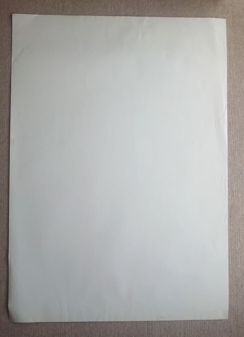 L*C様 松嶋菜々子 旭化成 特大水着ポスターサイズ B1①