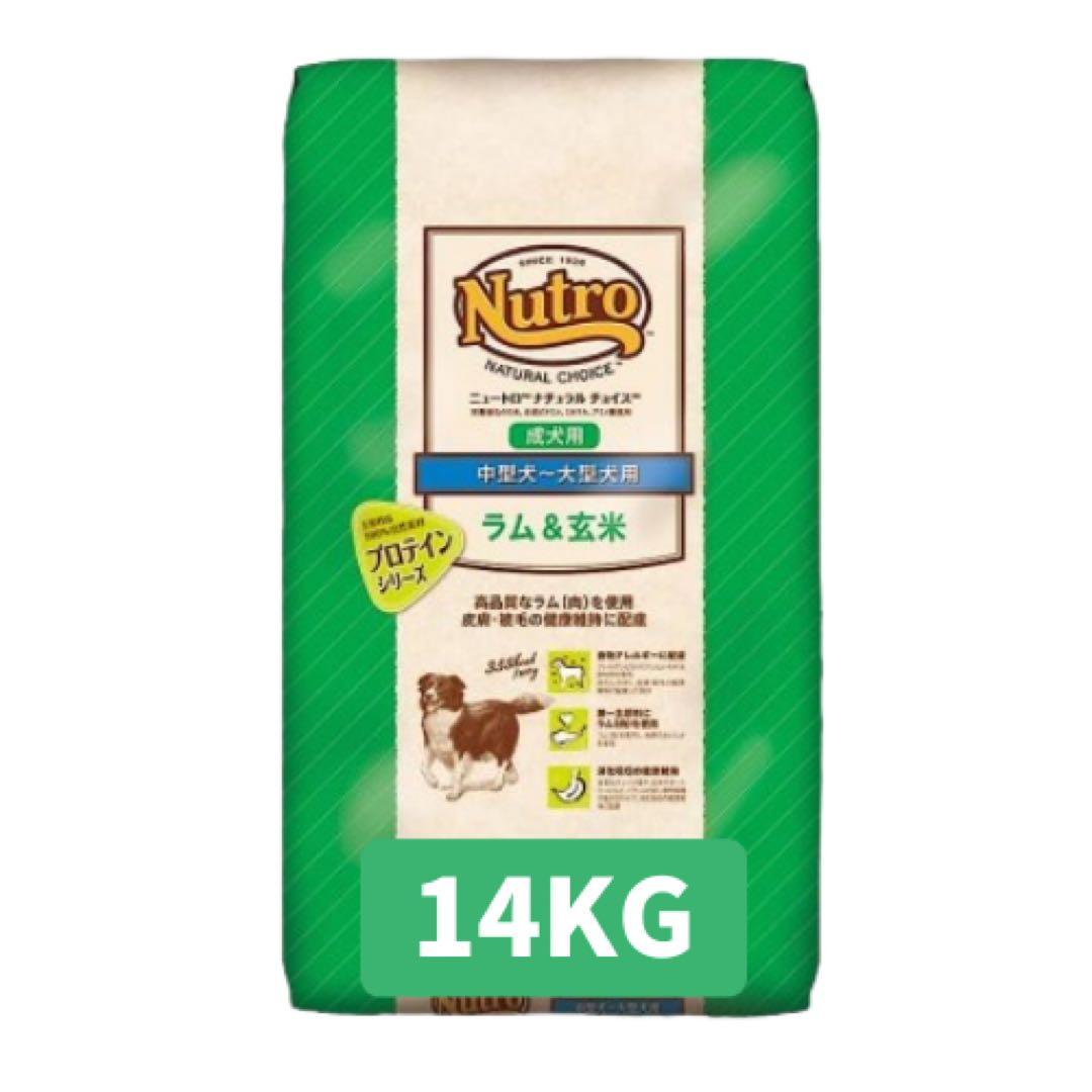 ドッグフード B