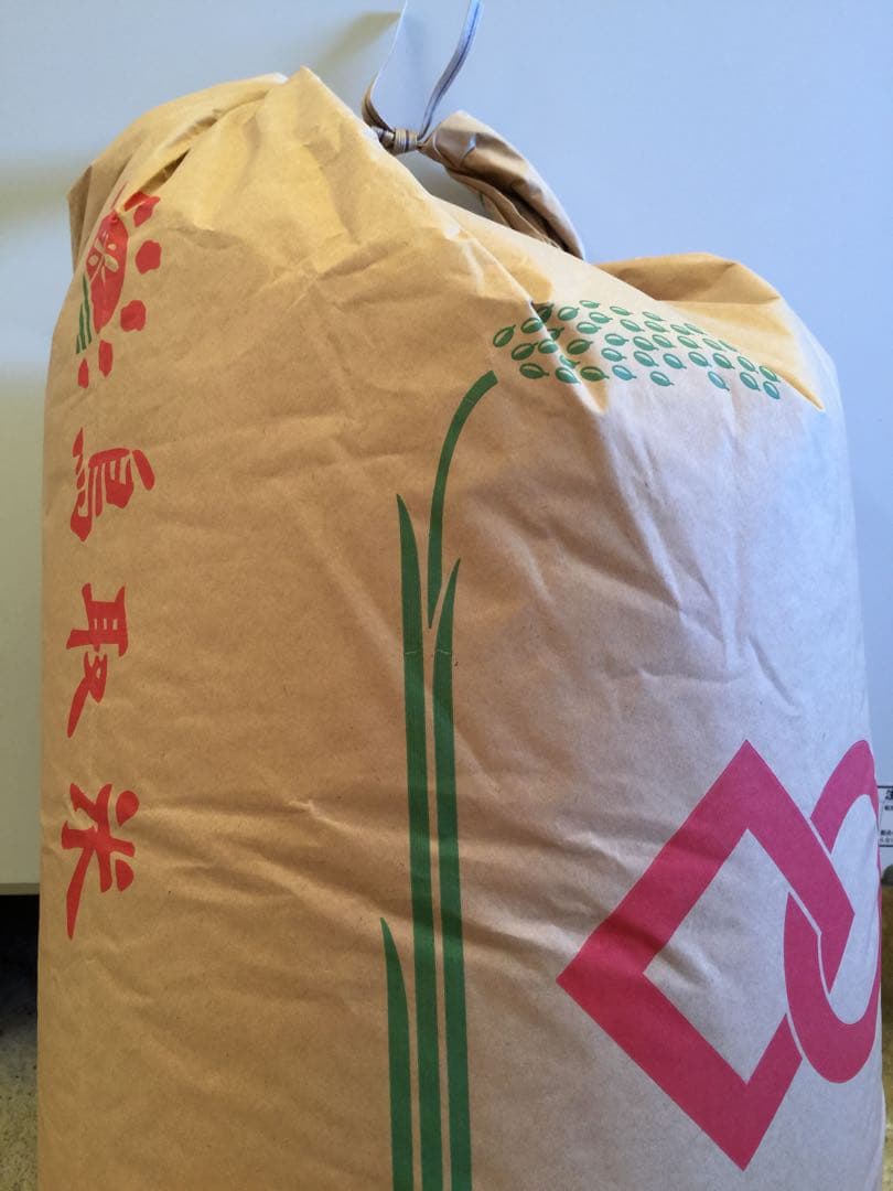 《玄米》 農家直送米　20kg 令和7年　鳥取県産 コシヒカリ《玄米》