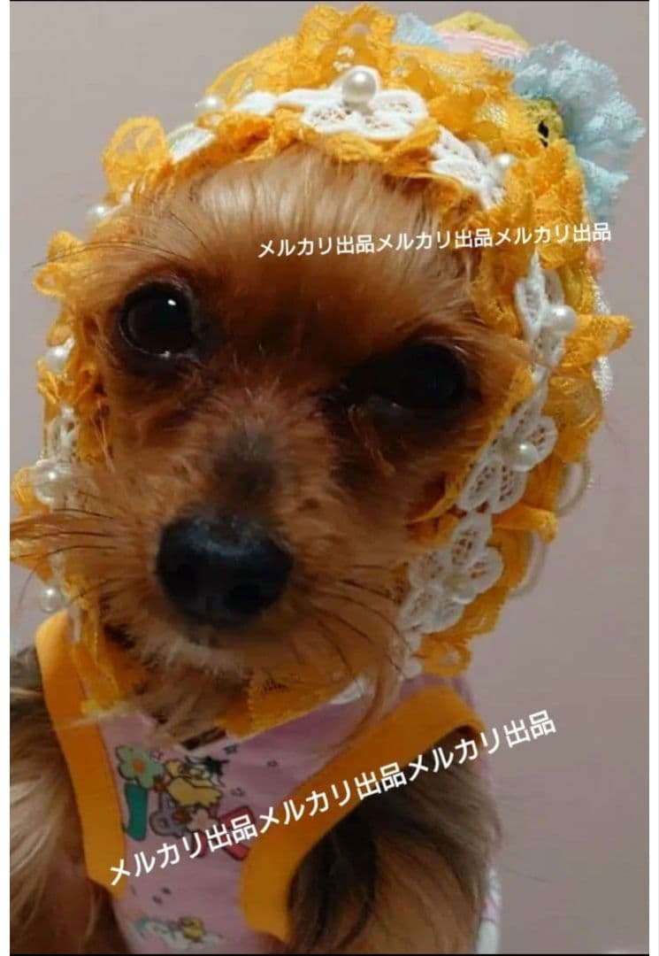 J＆Kanimals　ホワイトシュガーちゃんワンピース　限定ワンピース　廃盤品