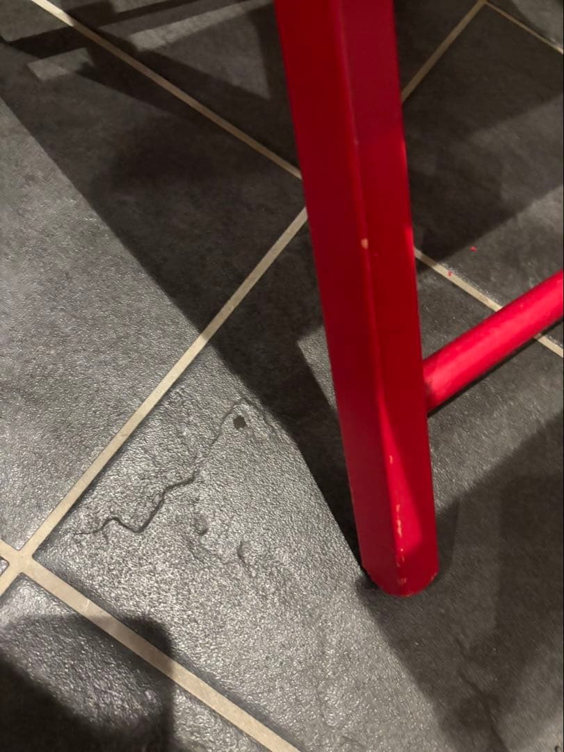 Supreme ディレクターズチェア