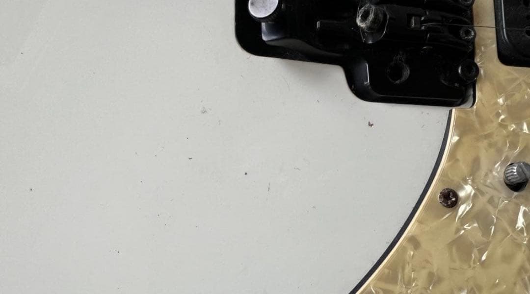 Ibanez RG-350DX　アイバニーズ