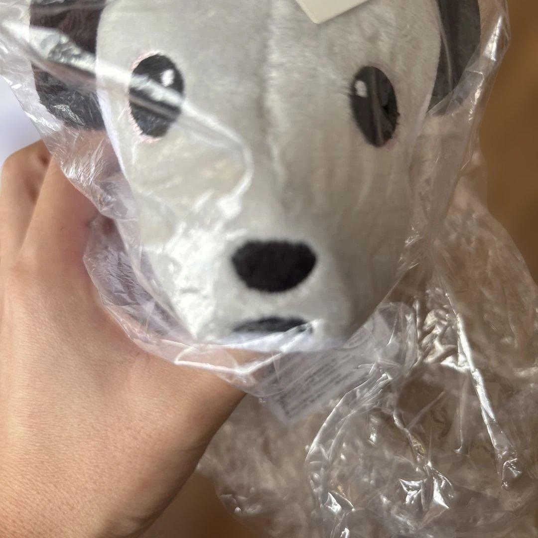 レア　aibo アイボ　ポージング　ぬいぐるみ　桜　ピンク