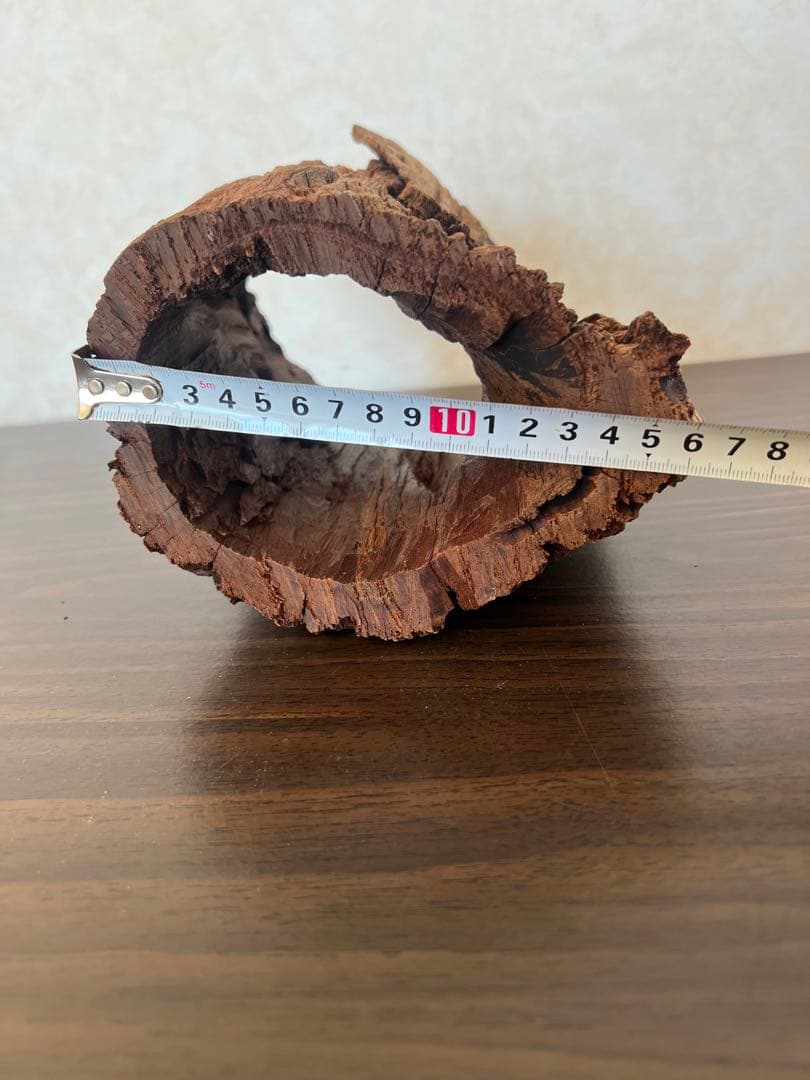 HX-007流木　空洞　爬虫類　アクアリウム　アクアテラリウム　即沈水