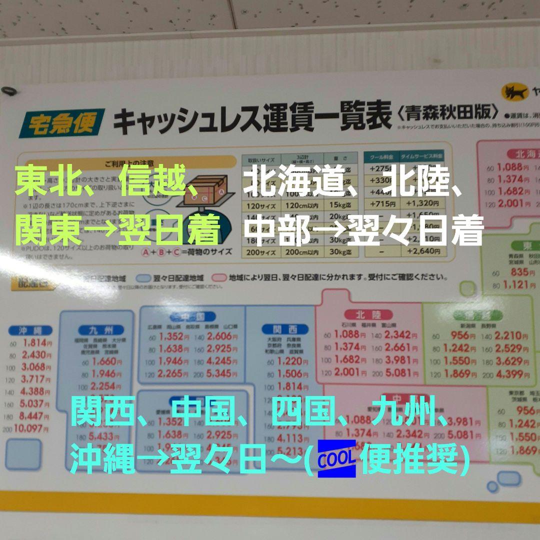 秋田県産 天然きのこ エノキダケ えのきだけ 雪の下 300g→受付