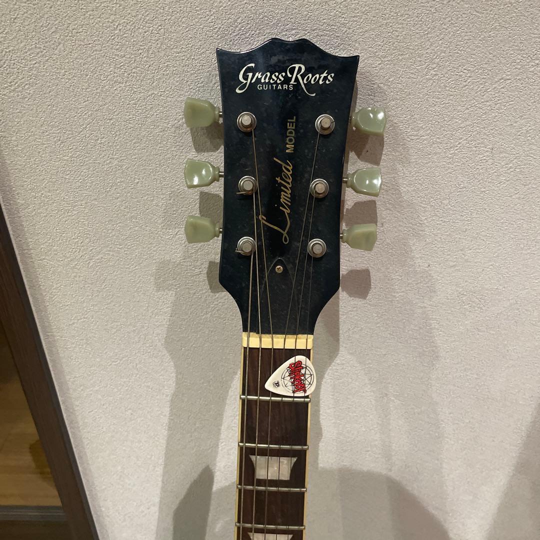 Grass Roots by ESP　Limited MODEL G-LP60S