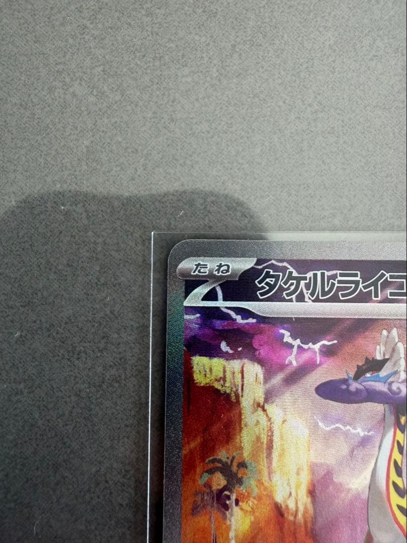 タケルライコSAR ✖︎２枚