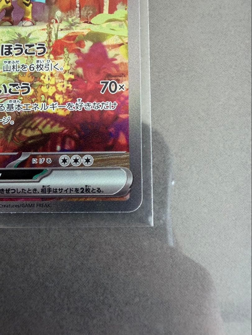 タケルライコSAR ✖︎２枚