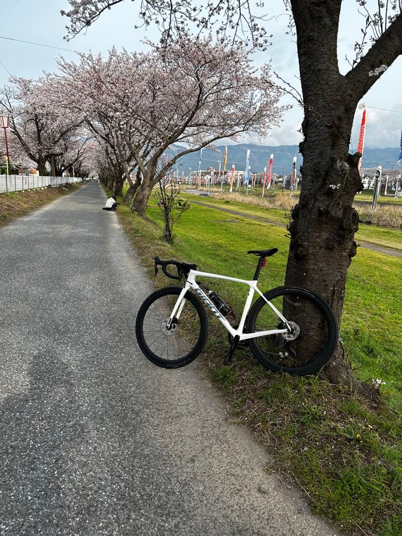 ジャイアントTCR アドバンスド1 DISC KOM