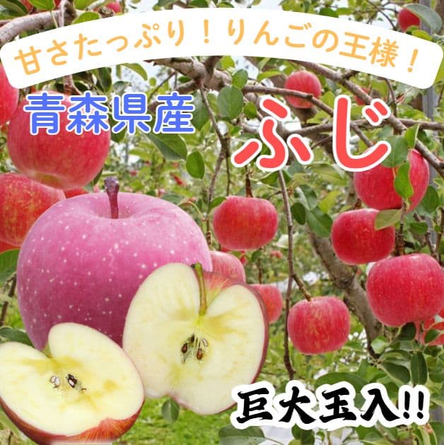 ★予約品★青森県産 ふじ りんご 巨大玉入 家庭用 5箱分