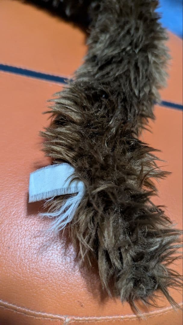 確認用画像です!!