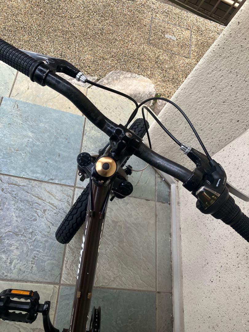 ☆ジオス キッズ GENOVA BROWN 20インチ GIOS ブラウン ☆