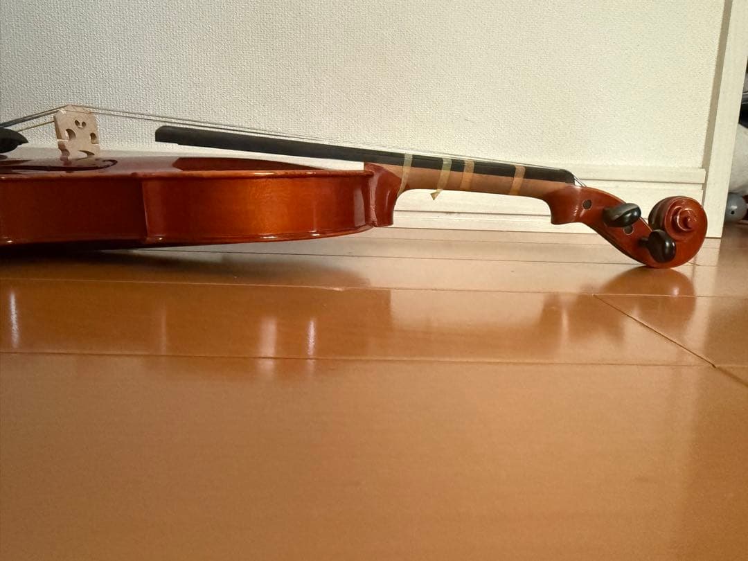 Andreas Eastman VL80 2020年 3/4 バイオリン本体