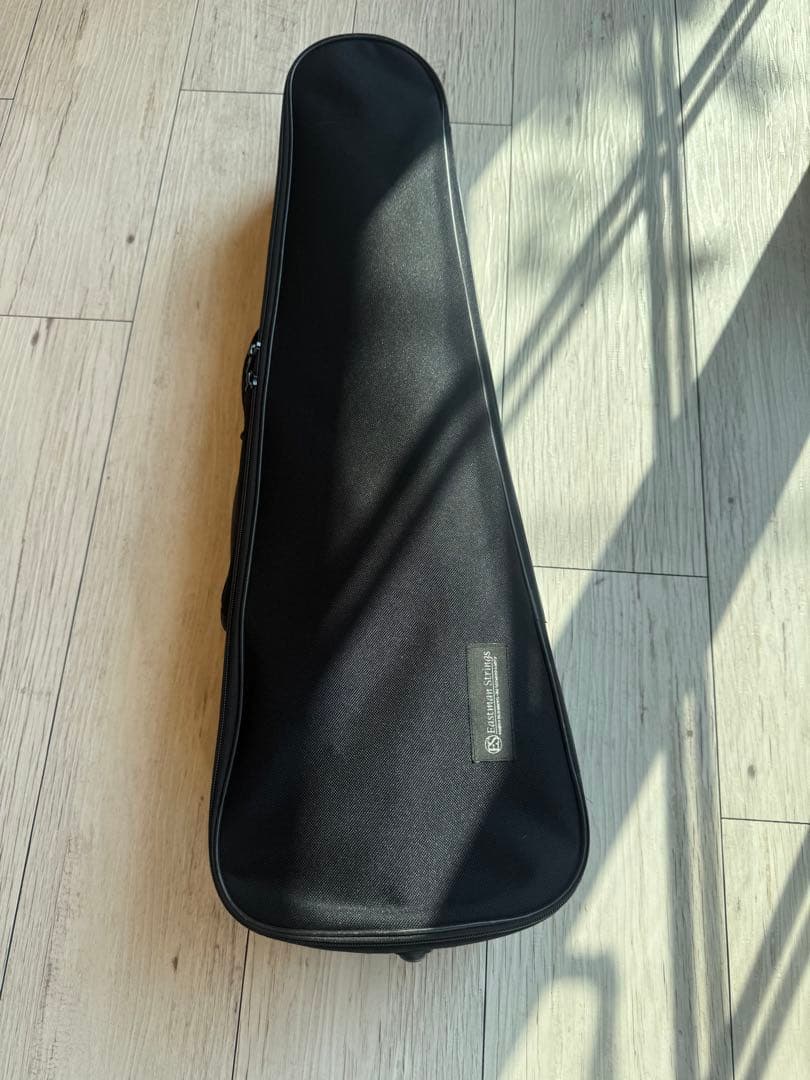 Andreas Eastman VL80 2020年 3/4 バイオリン本体