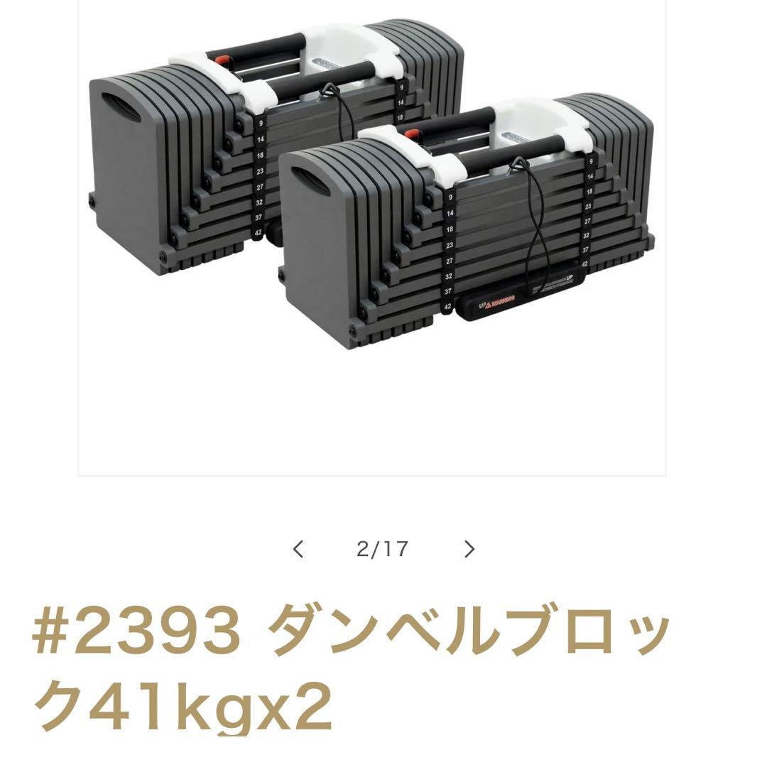 #2393 ダンベルブロック 41kgx2
