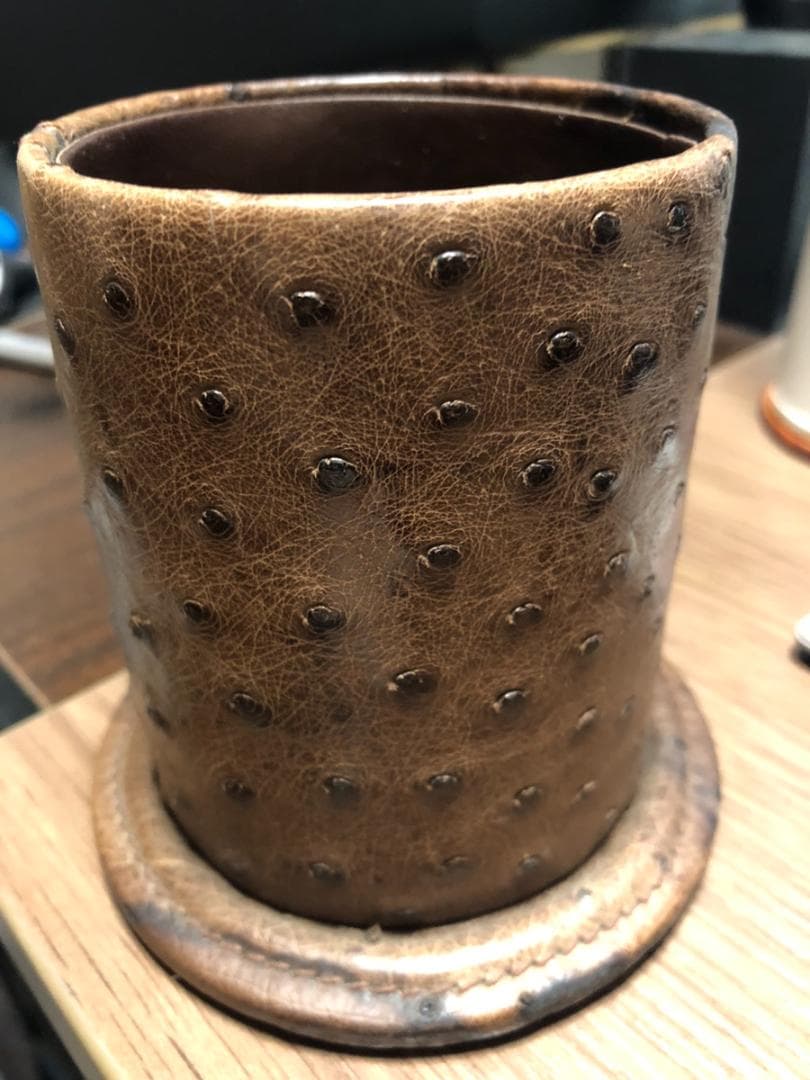 ◆164◆GUCCI　オーストリッチ ペンホルダー