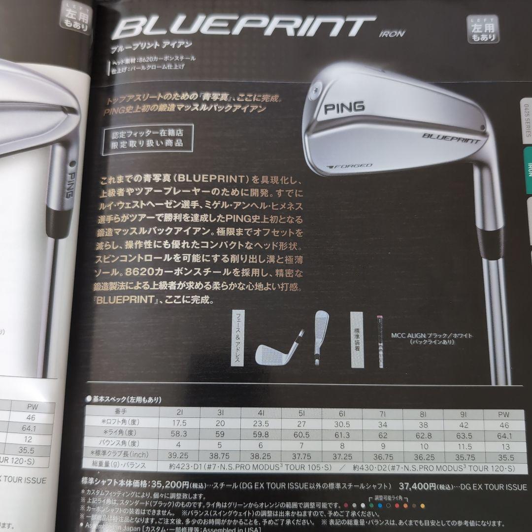 PING ブループリント マッスルバック