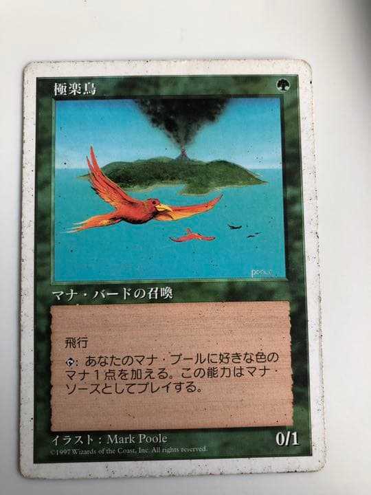 MTG 極楽鳥　3枚　日本語