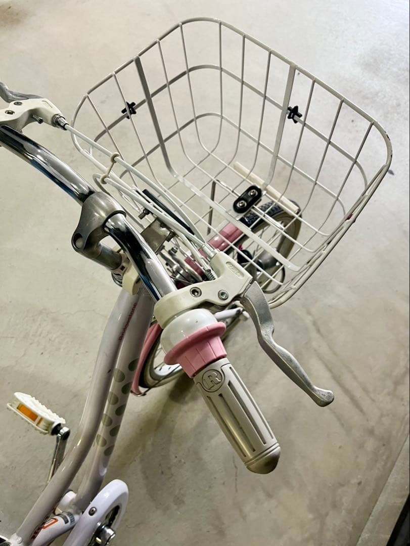 ブリヂストンサイクル　ジュニア向け自転車「ワイルドベリー」　20インチ