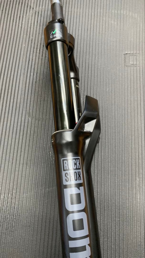 ROCKSHOX フォーク ロックショックス 29er Domain mtb