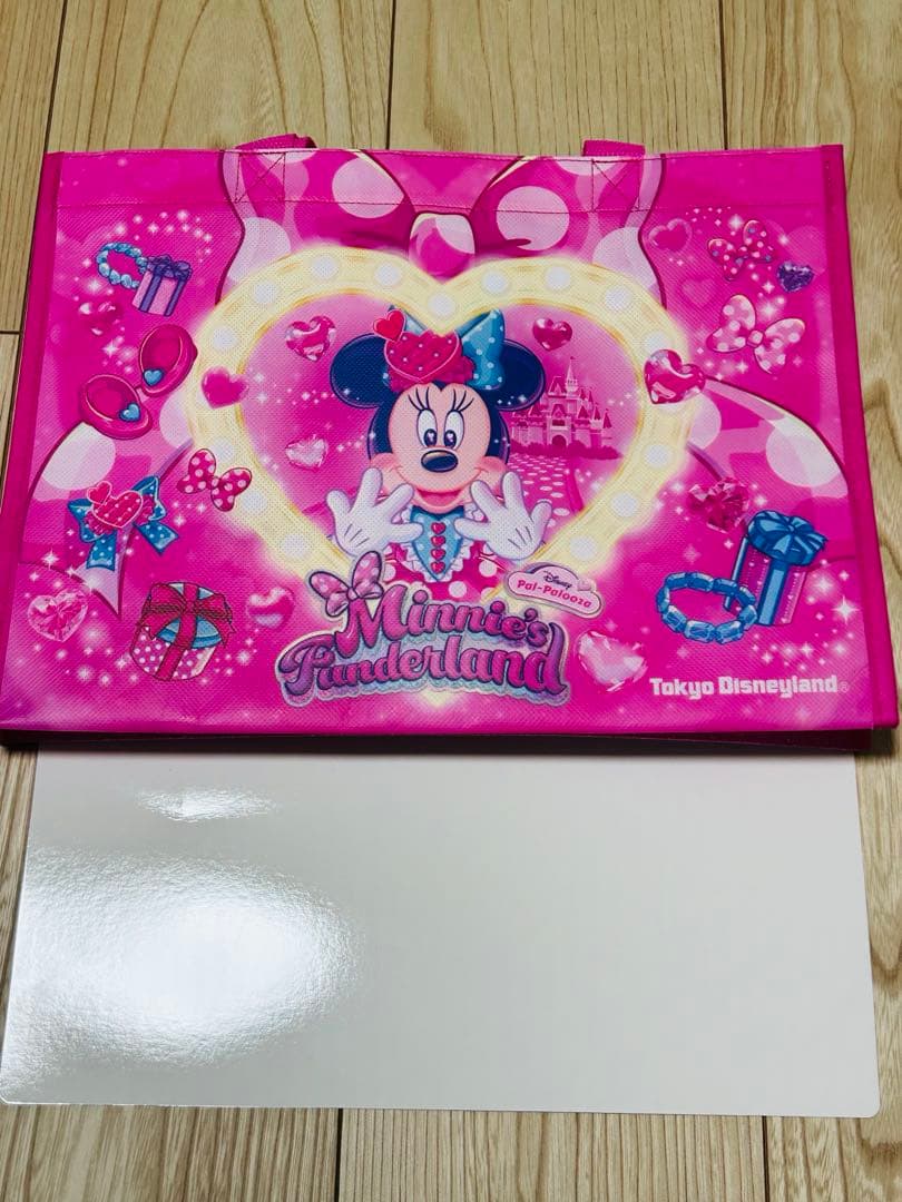 ミニー　パルパルーザ　4点セット