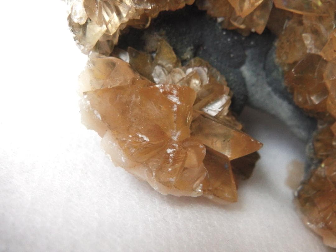 m盆・・・さま専用：方解石化した二枚貝の化石 カルサイト 鉱物標本 蛍光鉱物