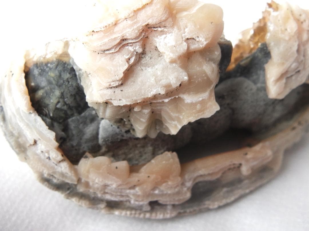 m盆・・・さま専用：方解石化した二枚貝の化石 カルサイト 鉱物標本 蛍光鉱物