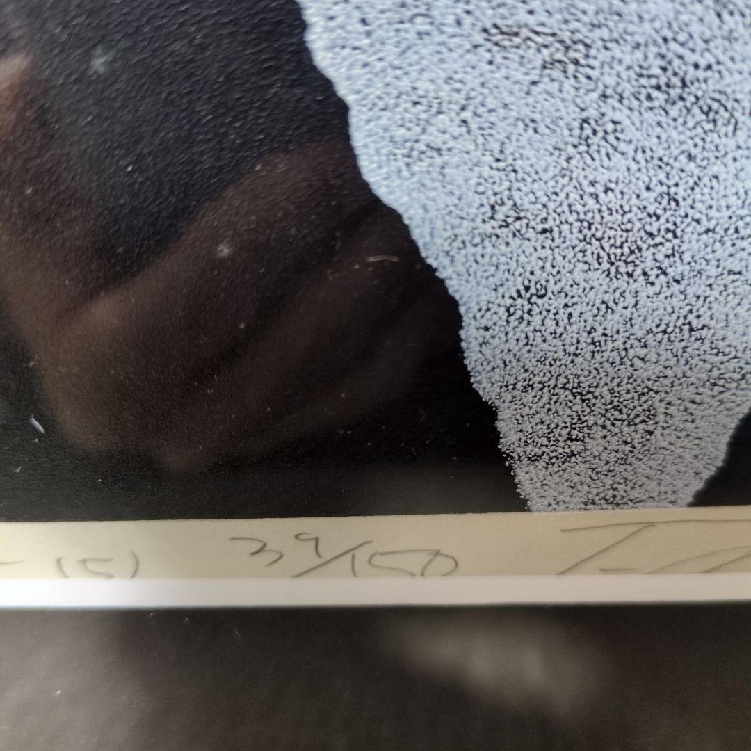 西田忠重 猫のリトグラフ 39/100 サイン入り