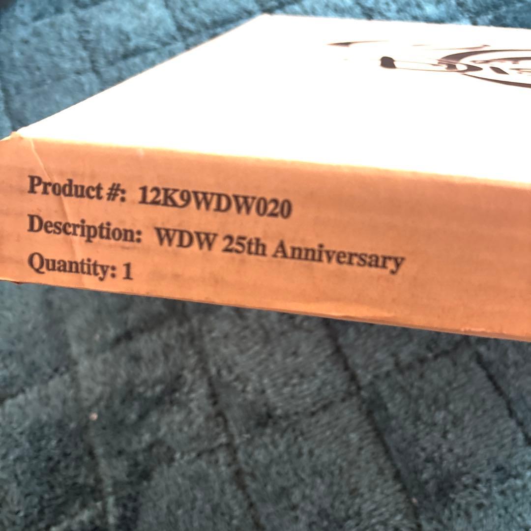 ディズニー　絵画　限定　アート　ケースあり　ミッキー