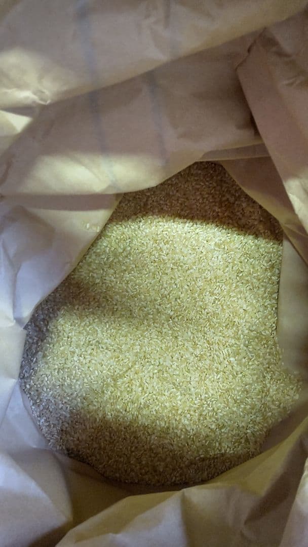 令和7年産 ヒノヒカリ玄米 30㎏