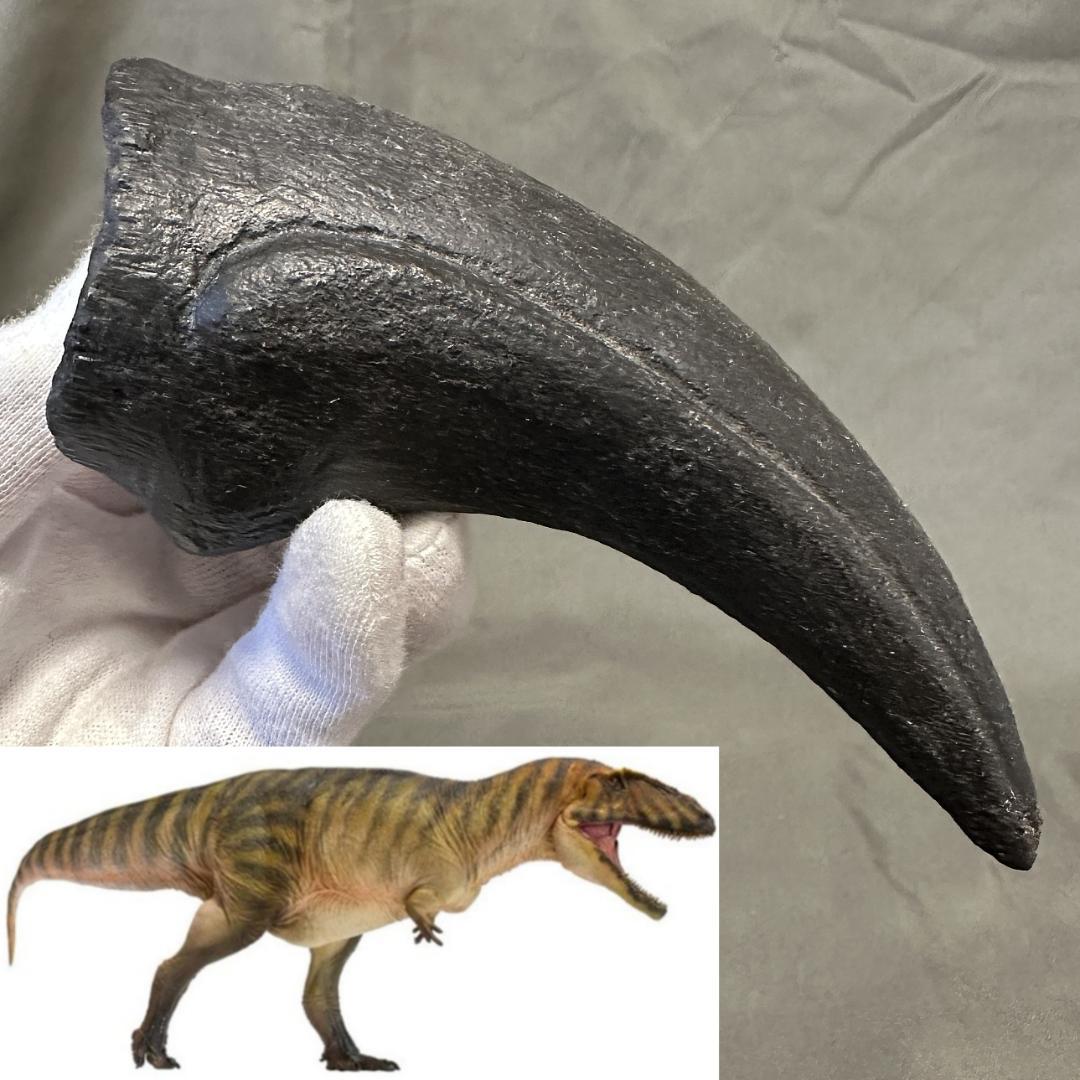 カルカロドントサウルス フットクロウ かぎ爪 化石 肉食恐竜 獣脚類 1515