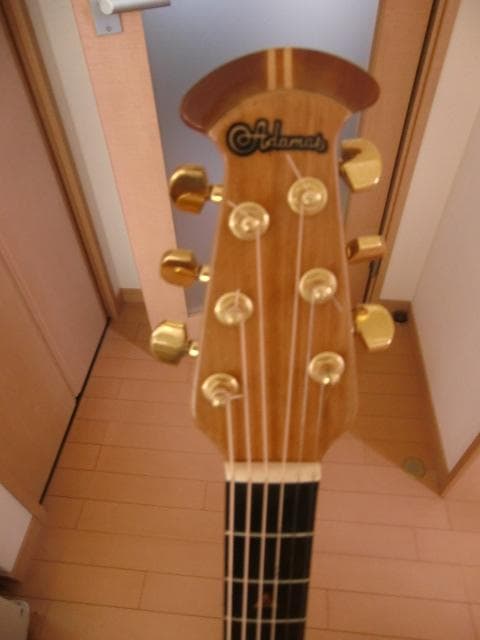 ミ*ー様 アコギ オベーション Ovation Adamas Century N