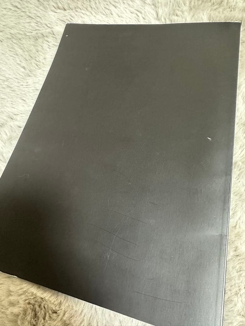 庵*様 月刊(ではない)甘い暴力 ライブフォトセット