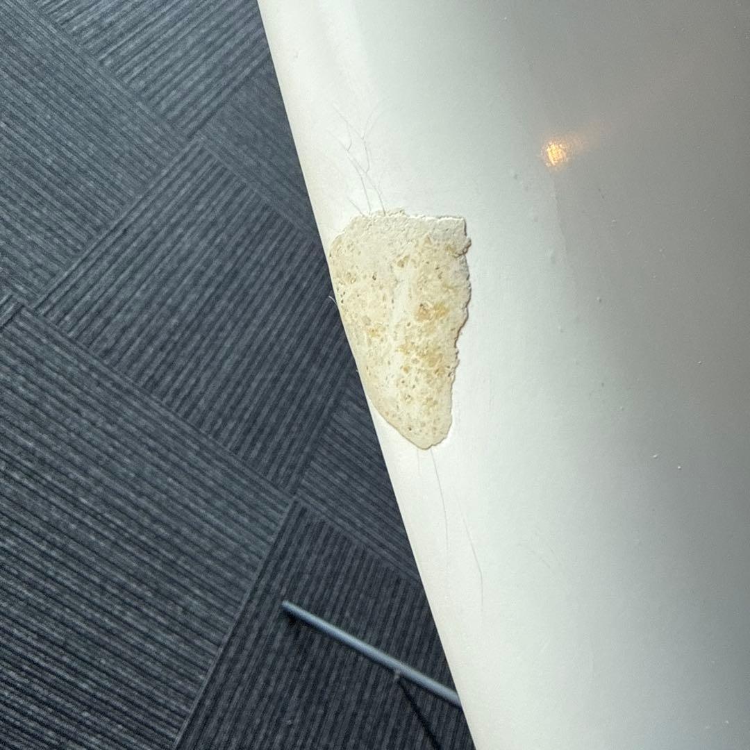 Al Merrick ニューフライヤー　サーフテック