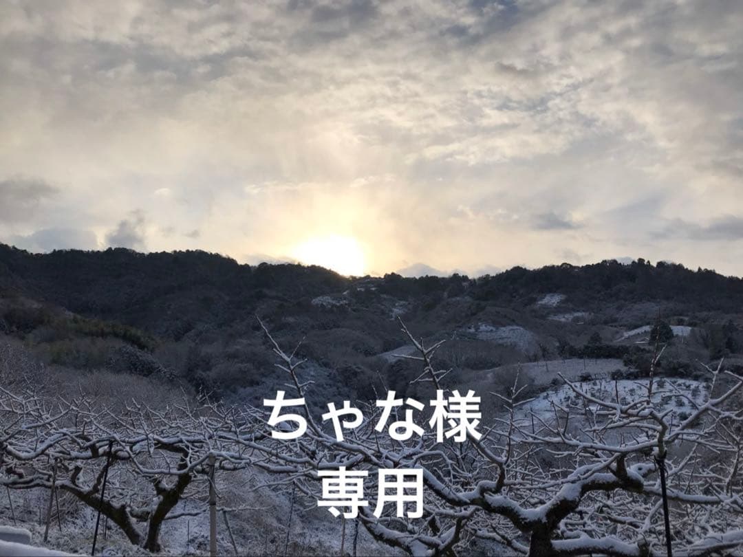 ちゃな　和田果樹園の果物　10キロ