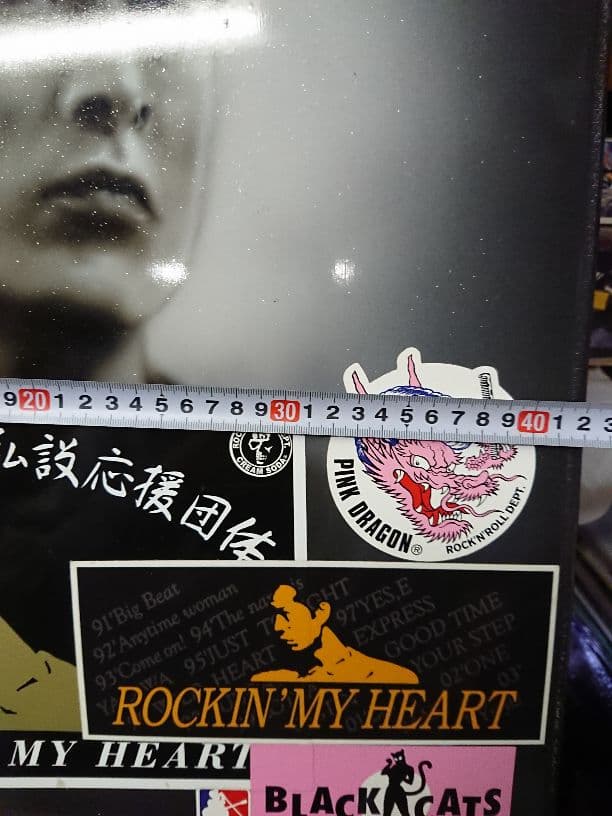 矢沢永吉 キャロル パネル エアブラシ