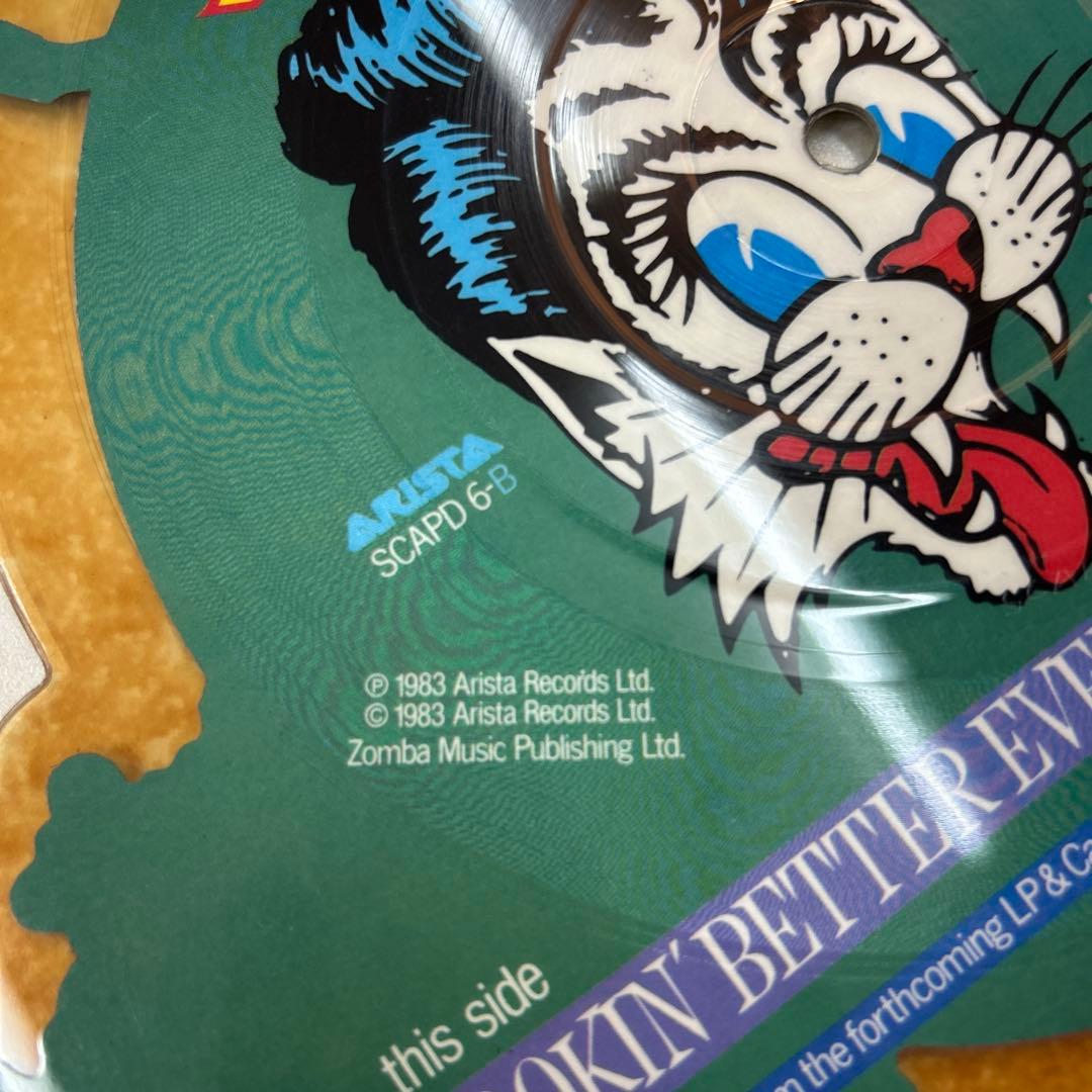 1983年STRAY.CATSピクチャーレコード 超珍しいレコードはまだ聴けます