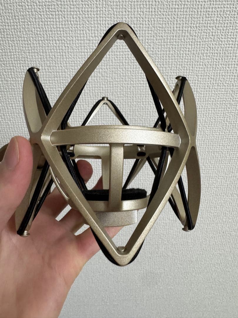 BLUEBIRD SL コンデンサーマイク ほぼ新品