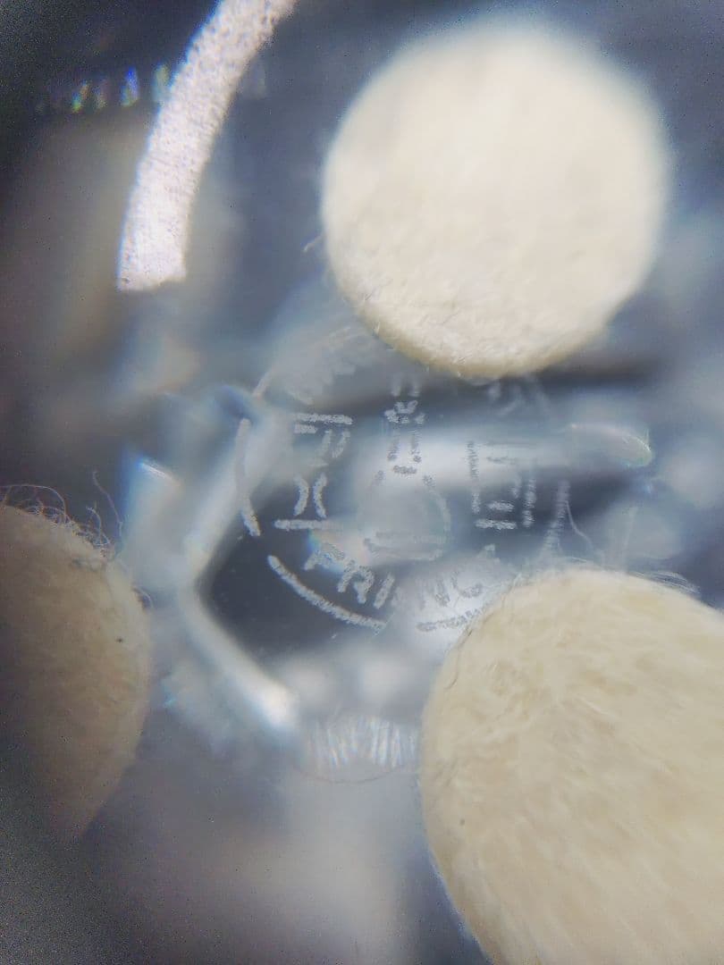 4-512 バカラ　ホース　馬　走る馬　ガラス　置物