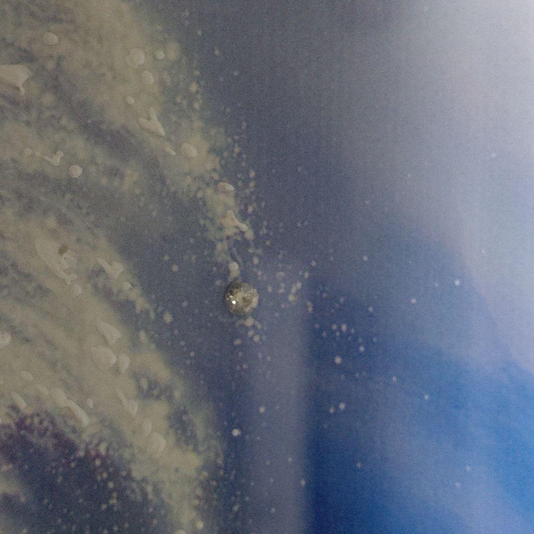 クリスチャン・Ｒ・ラッセン/インディゴナイト