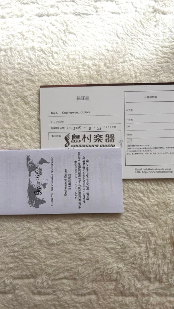 Gopher Wood Guitars i100 アコースティックギター