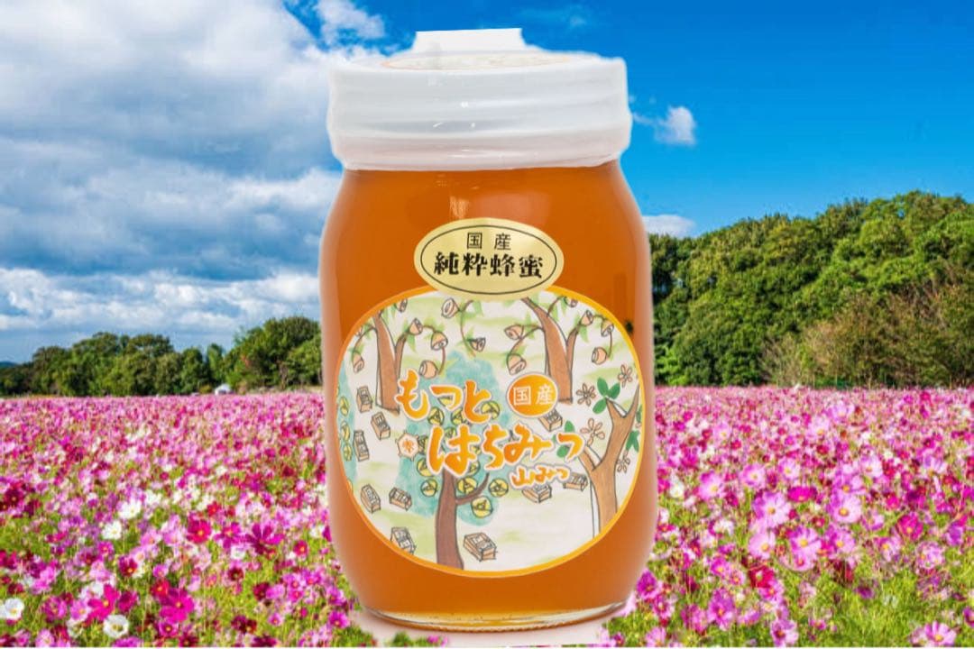 スミレ　国産純粋 山蜂蜜　600g×6本