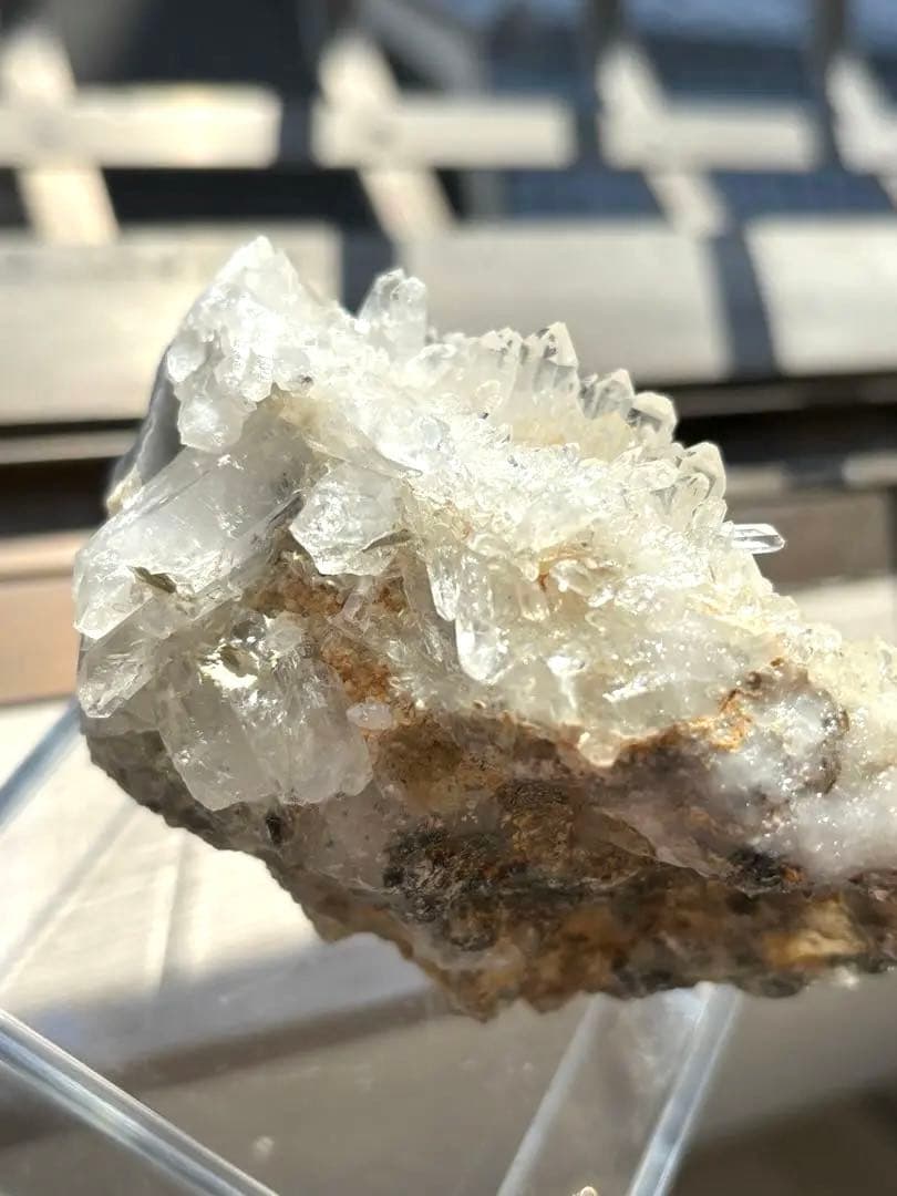 MGM【オールドストック・証明書あり】　メロディグリーンマイン