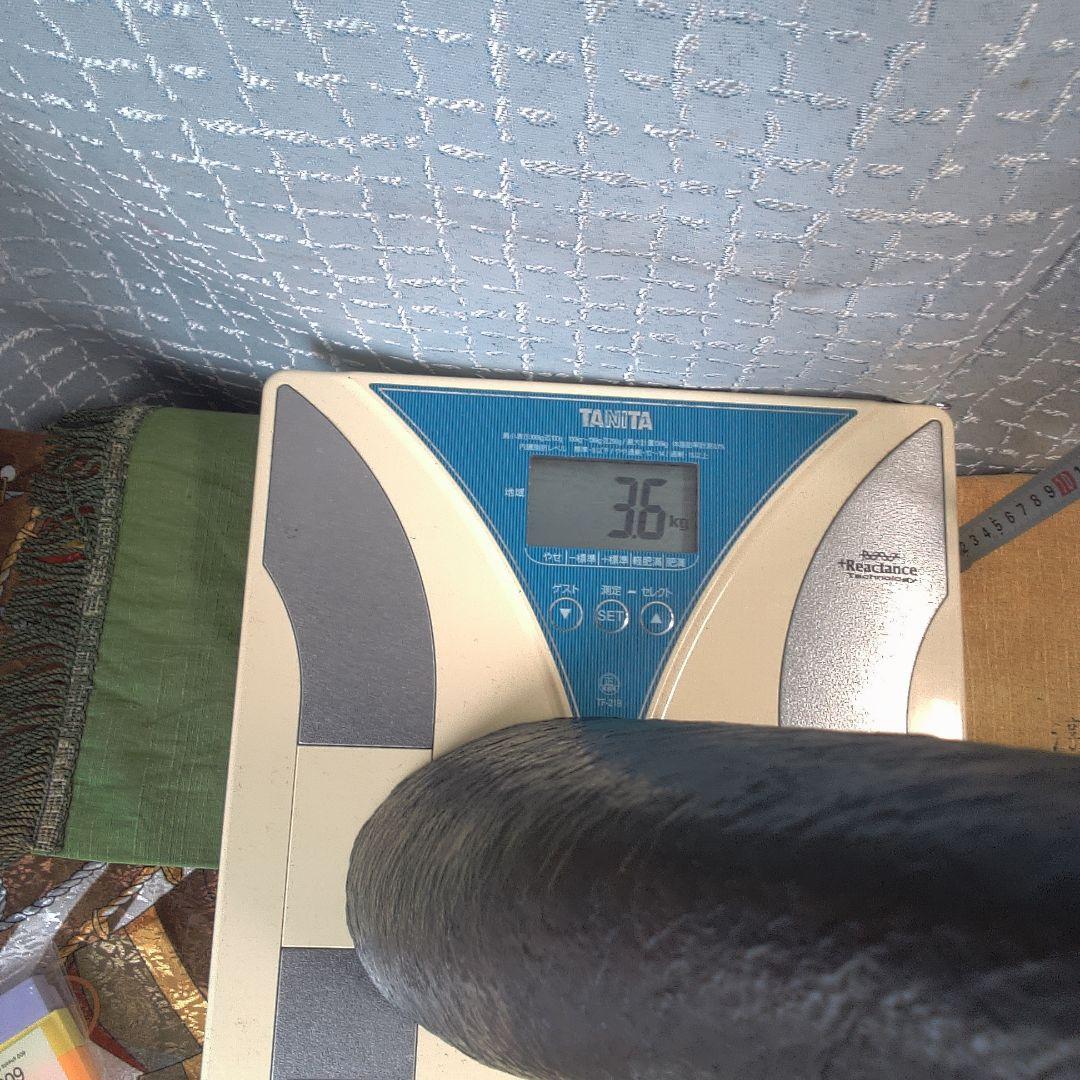 黒い細長い花器 銅製 アート 美術 アンティーク 骨董 まさを