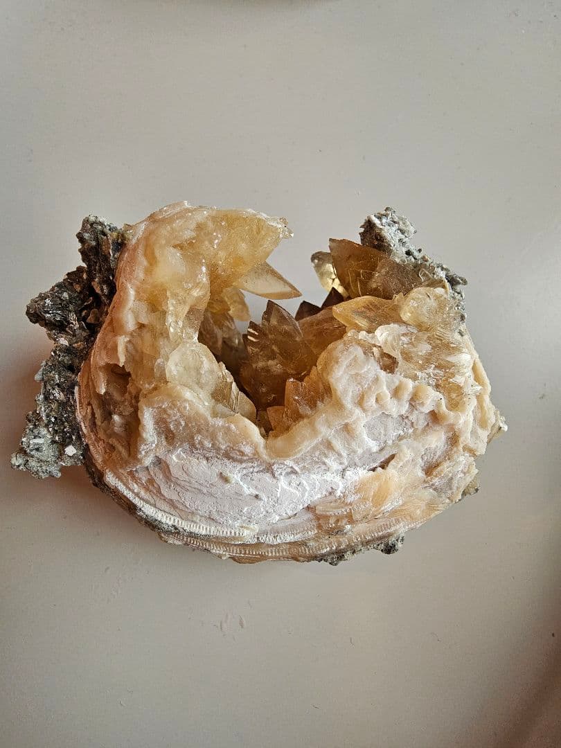 天然石 オブジェ 化石 クラスター原石 希少 ミネラルマルシェ 巨大 鉱物 標本